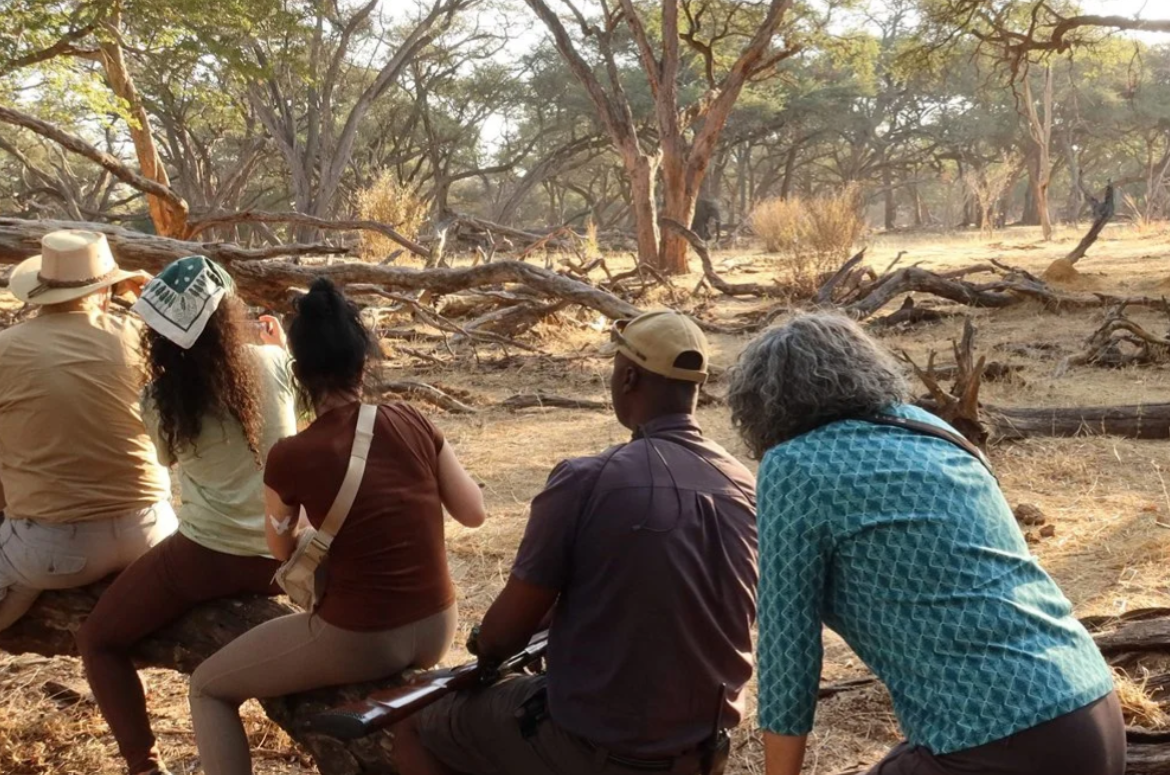 Great Guide Safaris Kennedy Fly Camp thumbnail 9